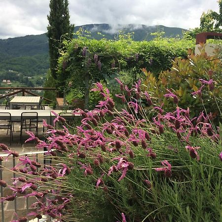 Hotel Agriturismo Braccicorti Pieve Fosciana Exteriér fotografie
