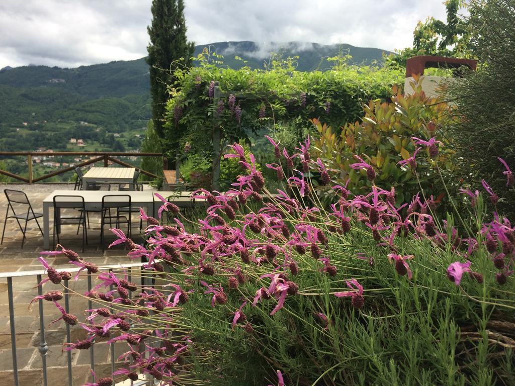 Hotel Agriturismo Braccicorti Pieve Fosciana Exteriér fotografie