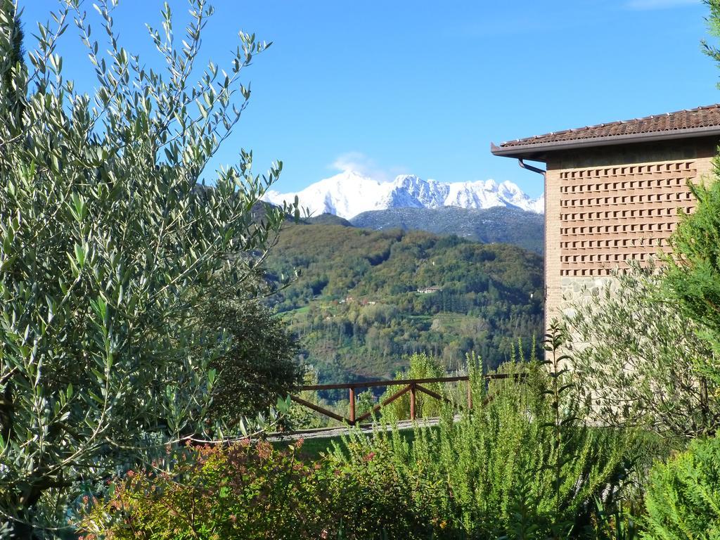 Hotel Agriturismo Braccicorti Pieve Fosciana Exteriér fotografie