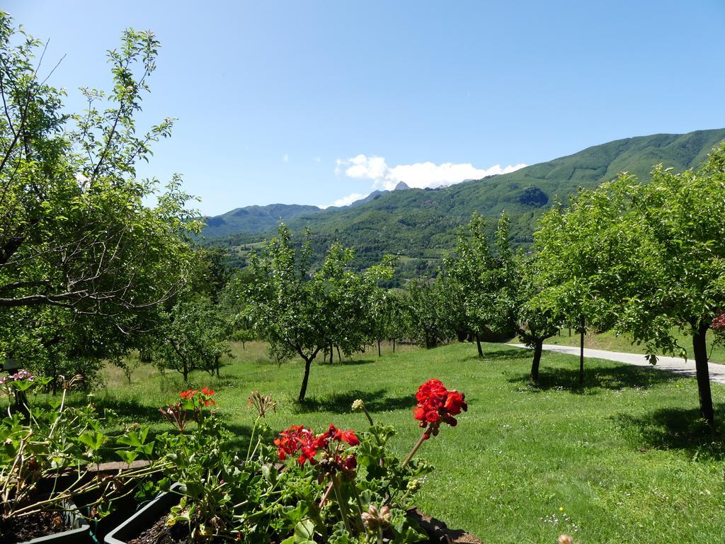 Hotel Agriturismo Braccicorti Pieve Fosciana Exteriér fotografie